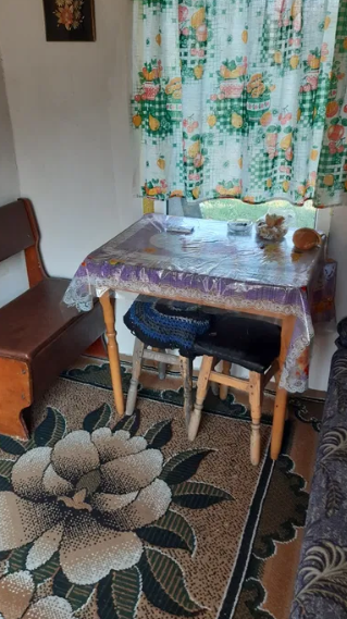 Продам дом с газом и удобствами в Овидиополе (40 км от Одессы) Ovidiopol - photo 9