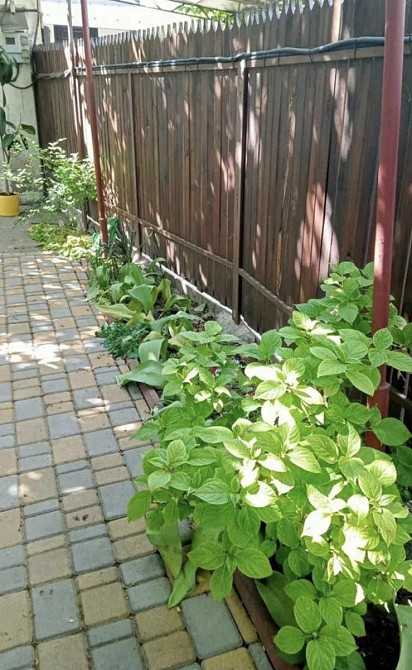 Продам частину Будинку на вул. Гастелло / Щорса Одеса - фото 2