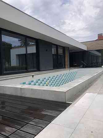 Сосновый берег Фонтанка