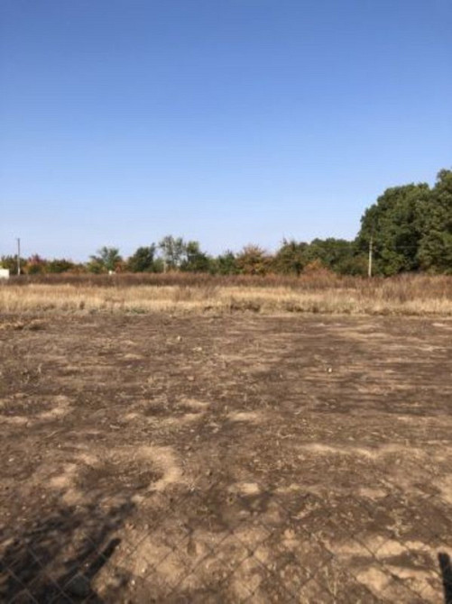 Продаж земельної ділянки 18 соток на Петруся Ф. Іванків - фото 1