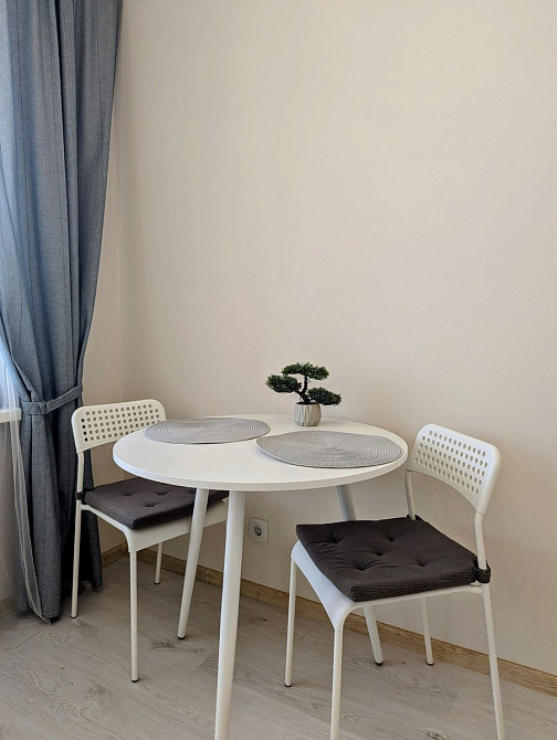 Оренда Квартира 1-кімнатна, 23/26 поверх на Бориса Гмирі, 20 Kiev - photo 9