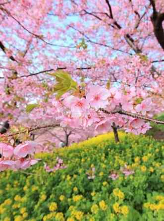 Продаж Будинок 9-кімнатний на вул. Соборная 