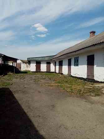 Продаж 1-поверховий Будинок з ділянкою 25 сот 74.6 кв.м 4 кімн. на Травнева вул. Бриків