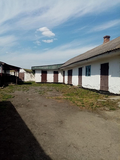 Продаж 1-поверховий Будинок з ділянкою 25 сот 74.6 кв.м 4 кімн. на Травнева вул. Brykiv - photo 5