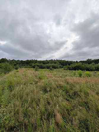 Продаж земельної ділянки 1 га на Урочище Біля Шевадуцької Наталії Viktoriv