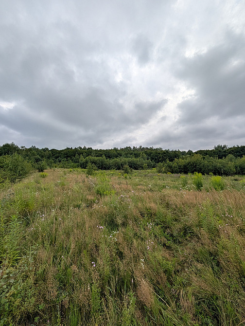 Продаж земельної ділянки 1 га на Урочище Біля Шевадуцької Наталії Viktoriv - photo 1