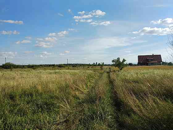 Продаж земельної ділянки 19 соток на Урочище за Оленою Вовковою 