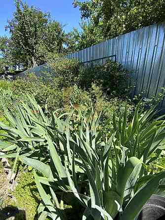 Продам дачный дом Київ, Садова 129-а вул. Kiev