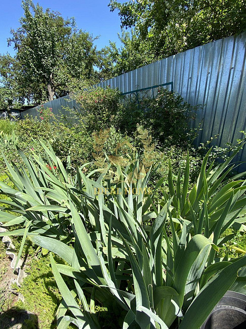 Продам дачный дом Київ, Садова 129-а вул. Kiev - photo 6