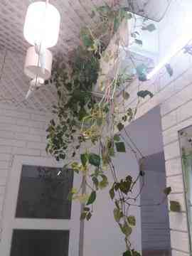 Продаж Квартира 2-кімнатна на ул. Прохоровская, 55 Одеса