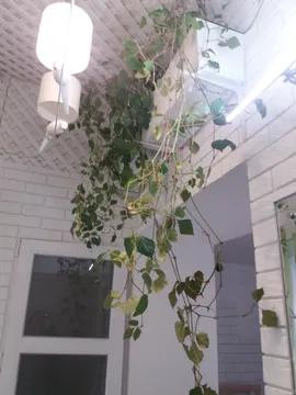 Продаж Квартира 2-кімнатна на ул. Прохоровская, 55 Одеса - фото 3