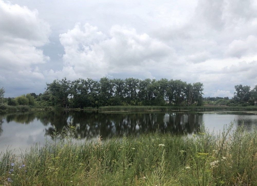 Продаж земельної ділянки 25 соток на Млинище Zhytomyr - photo 4