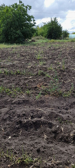 Продаж земельної ділянки 12 соток на АН Купи Дім Кропивницький - фото 2