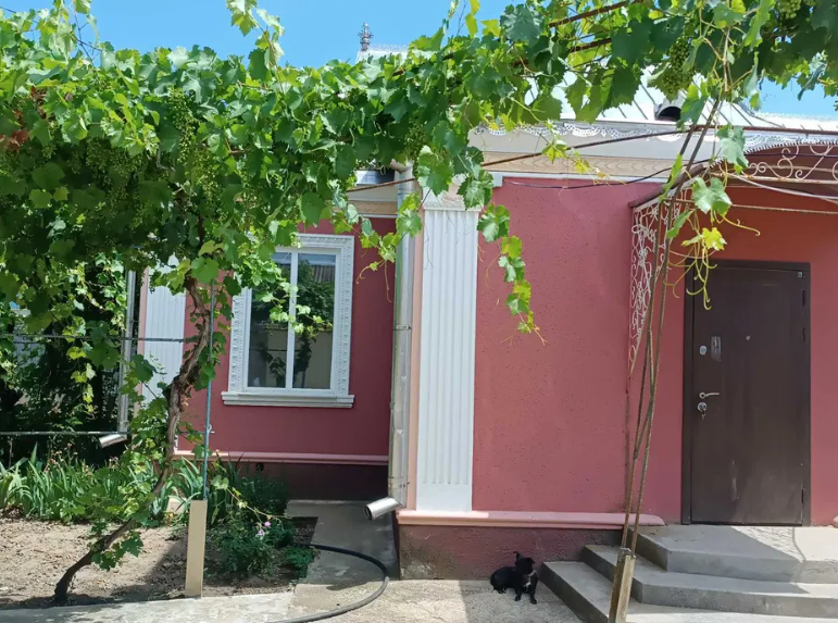 Продам два автономных дома с ремонтом в с.Троицкое (Одесская обл., Беляевский р-н) Novotroitske (Liubashivskyi raion) - photo 14