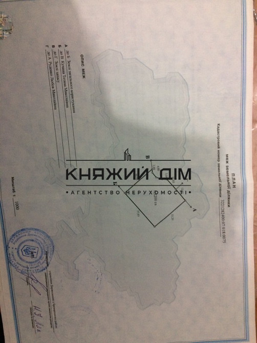 Продаж земельної ділянки 60 соток  - фото 4