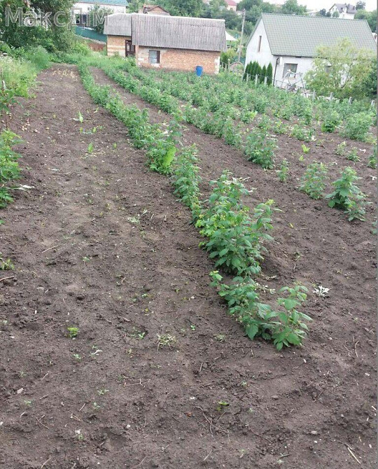 Продаж Будинок 1-кімнатний на Кутянська середня пров. Великий Глибочок - фото 3