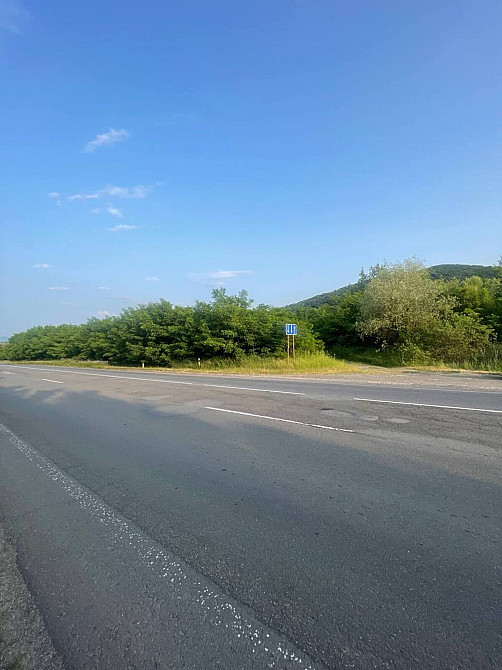 Продаж земельної ділянки 20 соток  - photo 4