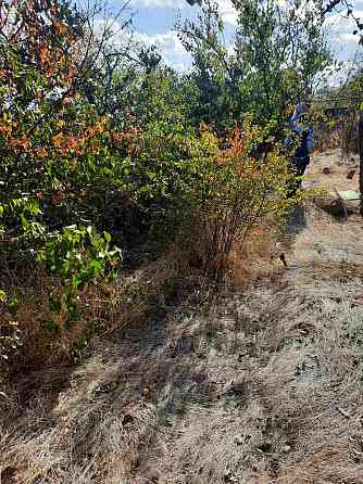 Дом на берегу Хаджибеевского лимана Холодна Балка