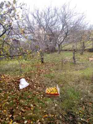 Продаж земельної ділянки 0.1 соток на переулок Комарова, 7 Нерубайське