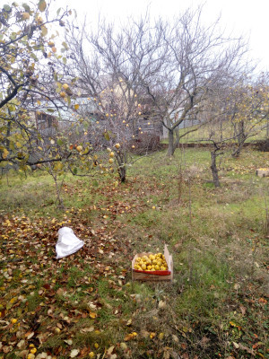 Продаж земельної ділянки 0.1 соток на переулок Комарова, 7 Нерубайське - фото 2