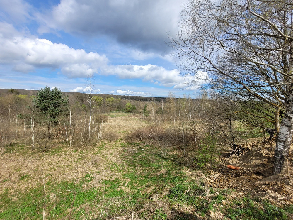 Продаж земельної ділянки 25 соток на Франка Pavlivka - photo 7