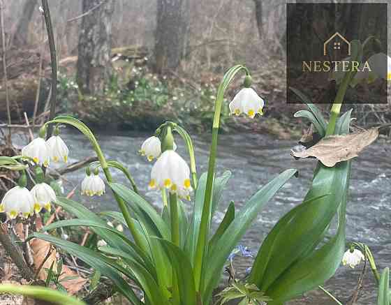 Продаж Будинок Onokivtsi