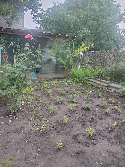 Продаётся часть домостроения со своим двором на Радужной. Одесса - изображение 6