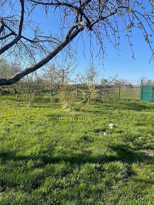 Продам будинку 3 кімнати в Чернині Чернин - фото 11