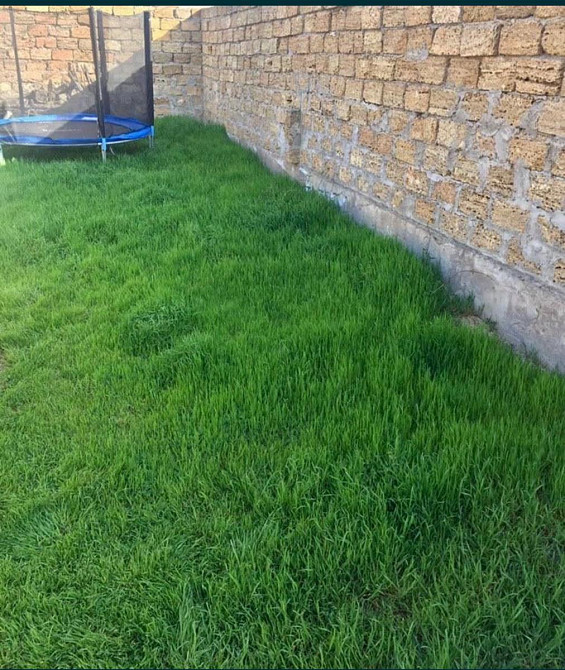 Продаж земельної ділянки на Академіка Вавілова, 56 Одеса - фото 5