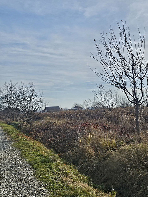 Продаж земельної ділянки 20 соток Черніїв - фото 3