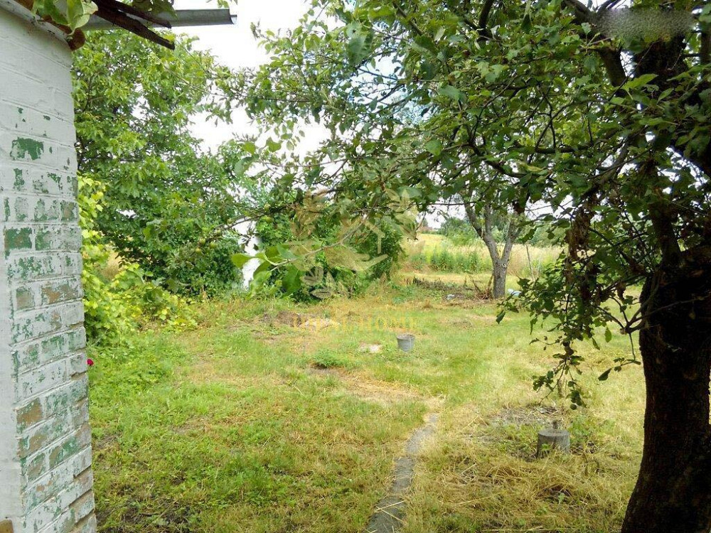 Продам чудовий будинок у мальовничому селі Пологи,  - фото 11