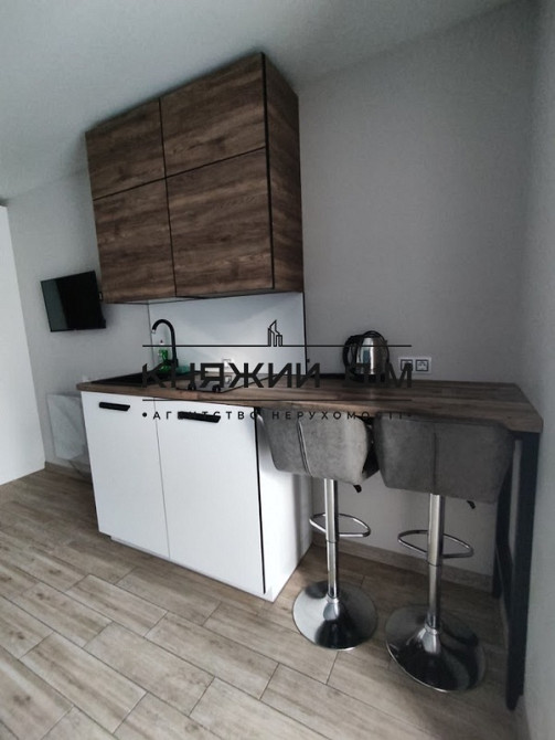 Оренда Квартира 1-кімнатна на Мала Житомирська Київ - фото 2