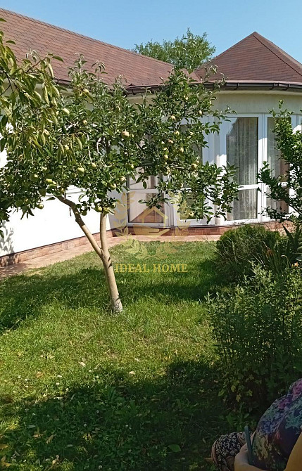 Продається садова ділянка з будинком в СТ Вітязь Борисп.р-н Protsiv - photo 5