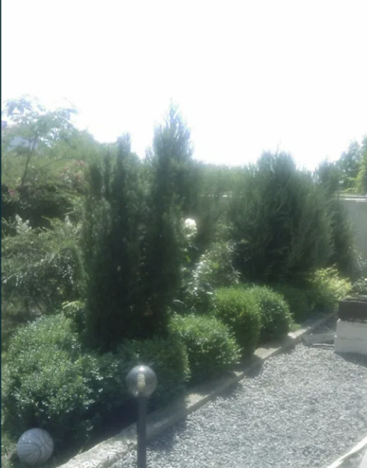 Продам дом 245м2   на 10ти сотках в Сухом Лимане Сухий Лиман - изображение 4