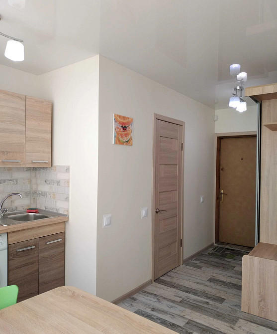 Оренда Квартира 1-кімнатна, 9/9 поверх на Білоруська, 28А Киев - изображение 5