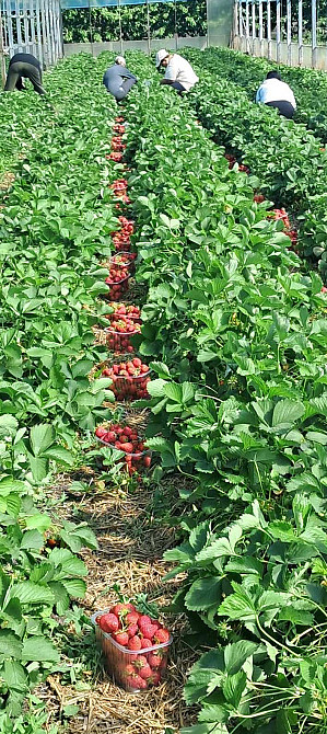 Продаж комерційне приміщення на ул. Молодіжна, 5 приміщень - 1, поверх - 1 Rozdil'na - photo 3