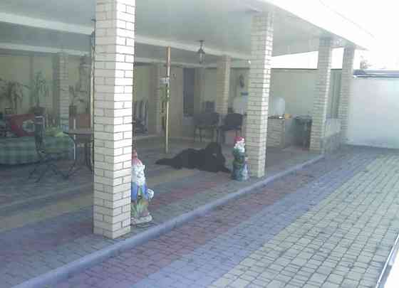 Продам дом 245м2   на 10ти сотках в Сухом Лимане Сухий Лиман