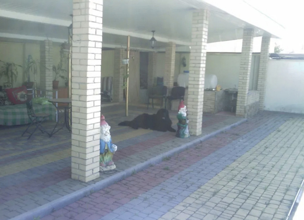 Продам дом 245м2   на 10ти сотках в Сухом Лимане Сухий Лиман - изображение 1