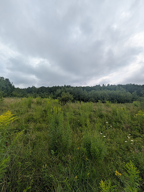 Продаж земельної ділянки 1 га на Урочище Біля Шевадуцької Наталії Viktoriv - photo 7