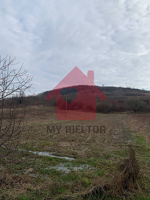 Продаж земельної ділянки 10 соток на Центральна  - photo 1