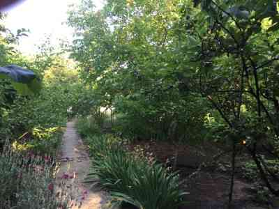 Продаж земельної ділянки 0.1 соток на переулок Дачный 2-й, 9а Одеса