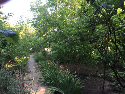 Продаж земельної ділянки 0.1 соток на переулок Дачный 2-й, 9а Одеса - фото 3