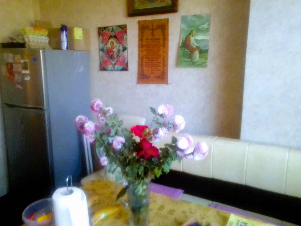 Капитальный дом в Черноморке Одеса - фото 15