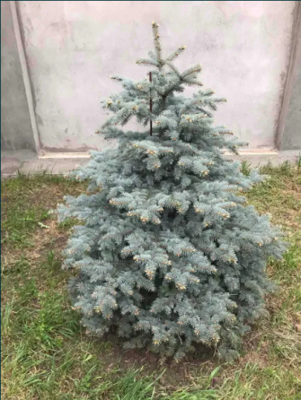 Продам 2-х этажный дом в Фонтанке-2 Фонтанка