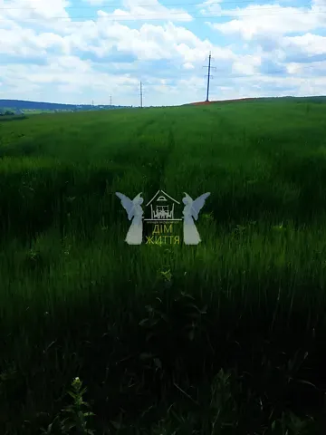 Продажа земельного участка  площадь 17 сот Січових Стрільців вулиця 1  - изображение 8