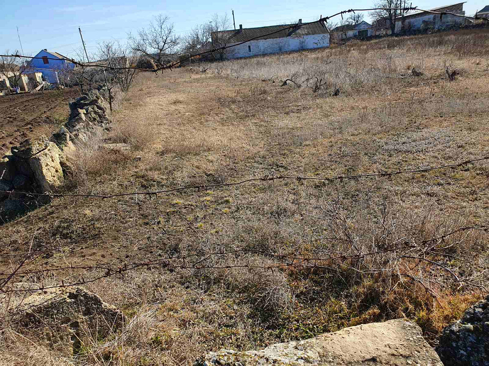 Дом в Ковалевке с уникальным винным  погребом (1905 г.) Ковалівка - фото 10