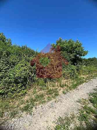 Продаж земельної ділянки 20 соток на Оноківська 