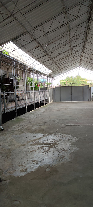 Усадьба на 8 сот. в с. Усатово Usatove - photo 11