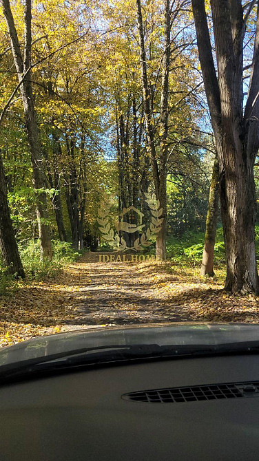 продається будинок Камянському лісництві с. Камянка Каменка (Іванківський район) - фото 20