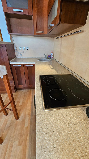 Оренда Квартира 1-кімнатна, 9/10 поверх на пл. Пантелеймона Куліша, 1 Київ - фото 12